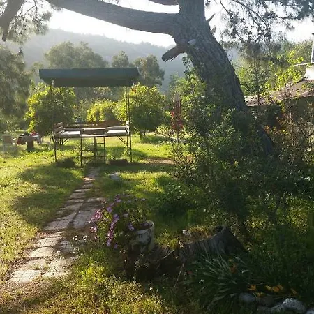 Alloggio in famiglia Ruzgar Gulu Bungalows Camping *